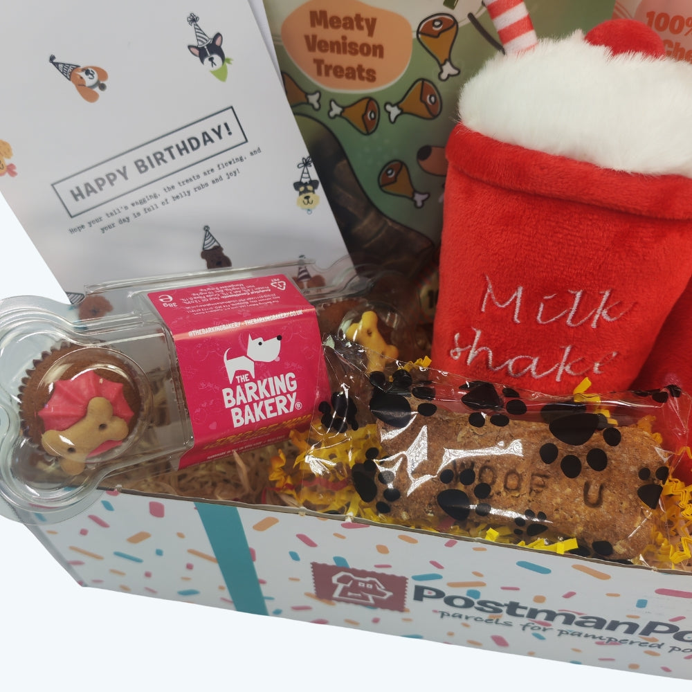 Fast Food Feast Dog Birthday Box