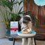 Dog Birthday Cake Mix