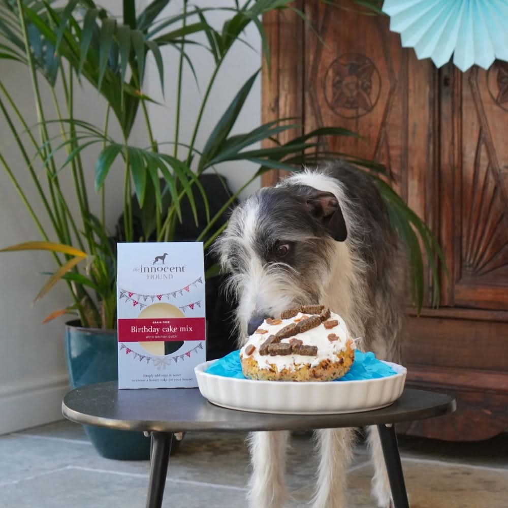 Dog Birthday Cake Mix