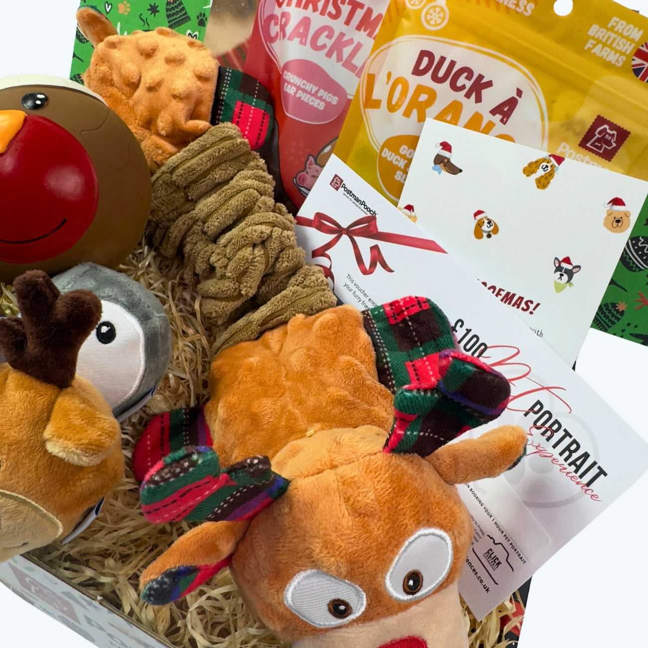 Stretchy Rudolph dog toy