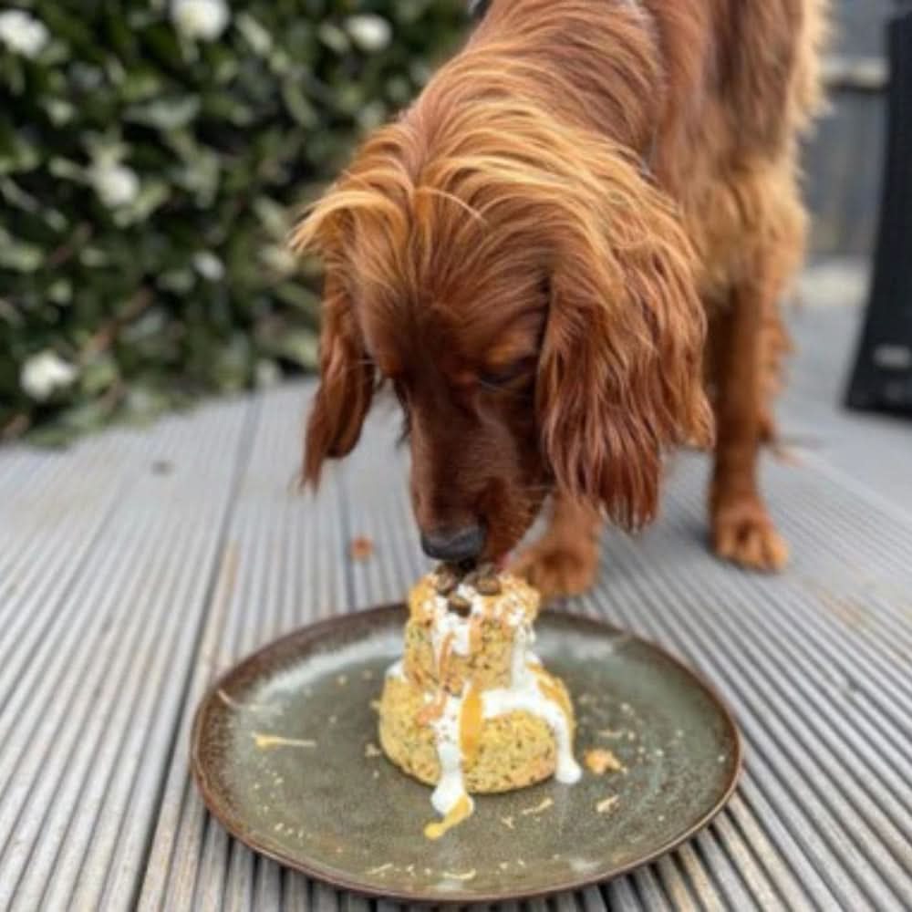 Dog Birthday Cake Mix