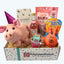 Dog Birthday Box (Girls)