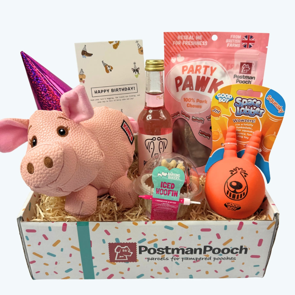 Dog Birthday Box (Girls)