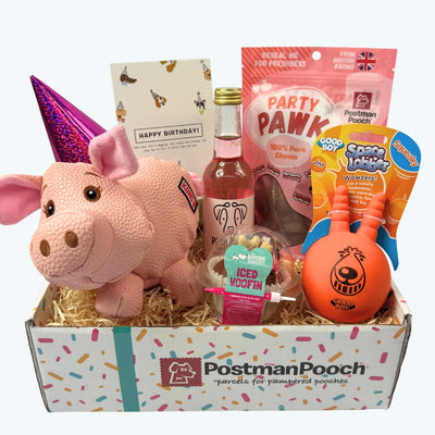 Dog Birthday Box (Girls)