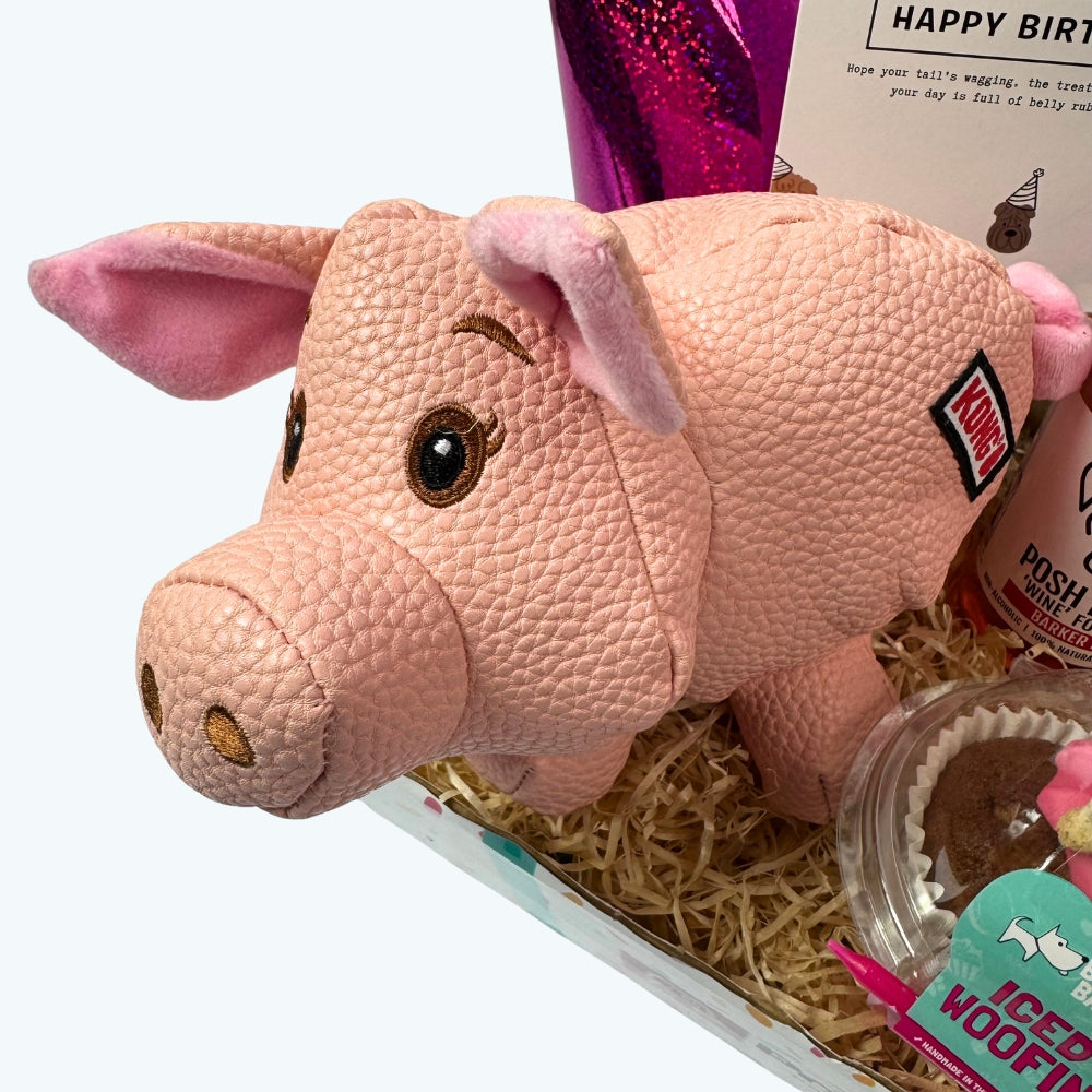 Dog Birthday Box (Girls)