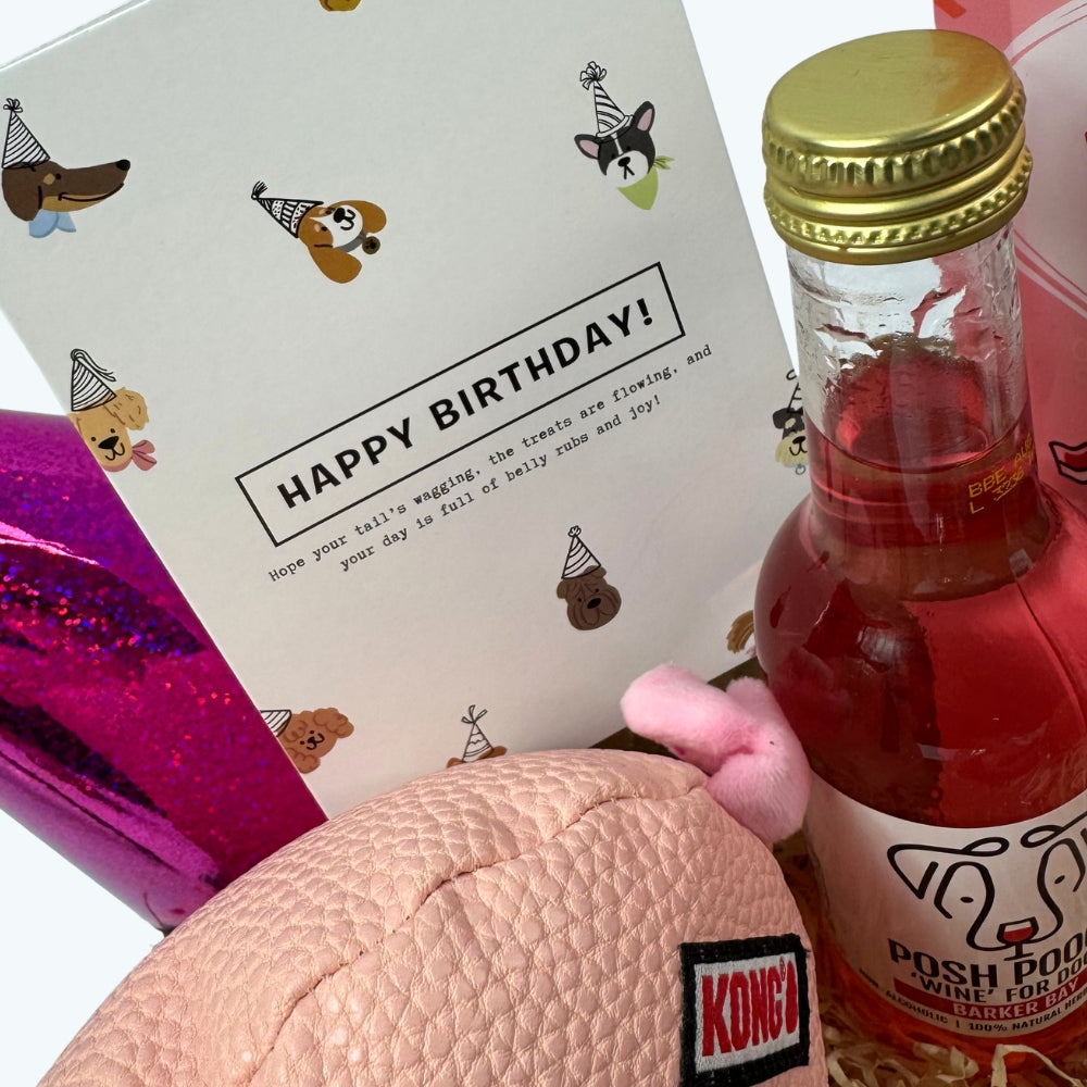 Dog Birthday Box (Girls)