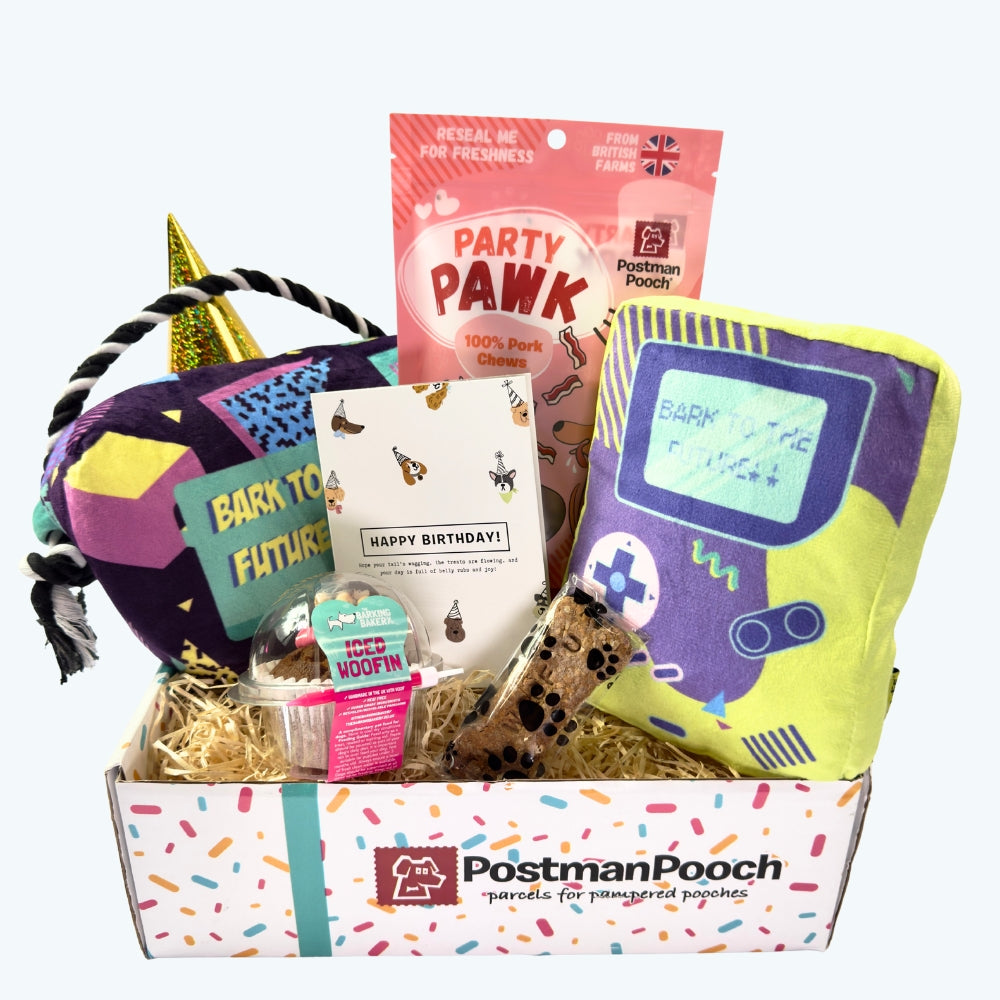 Bark to The Future Dog Birthday Box
