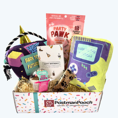 Bark to The Future Dog Birthday Box