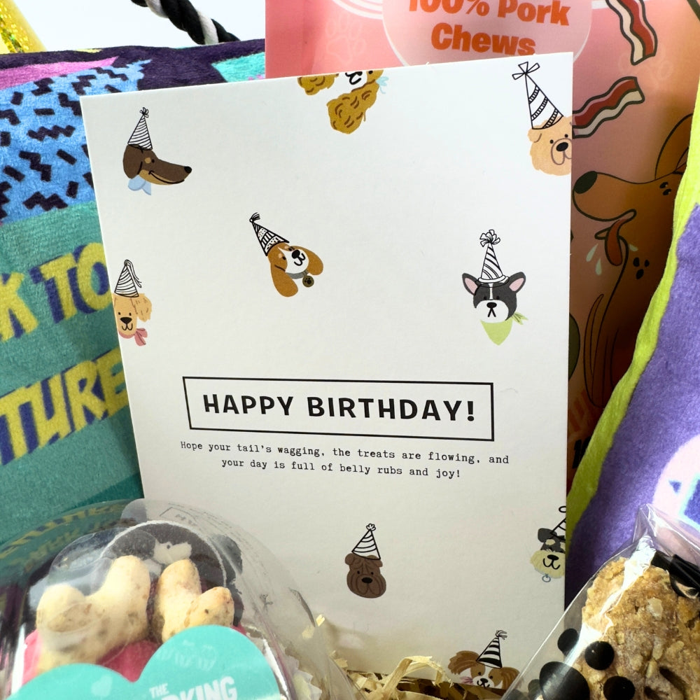 Bark to The Future Dog Birthday Box