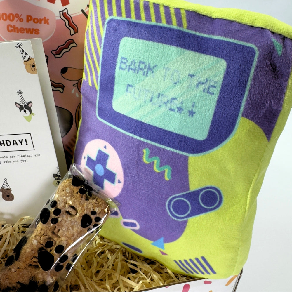Bark to The Future Dog Birthday Box