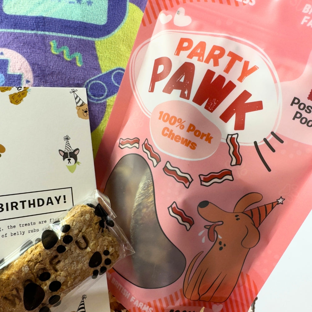 Bark to The Future Dog Birthday Box