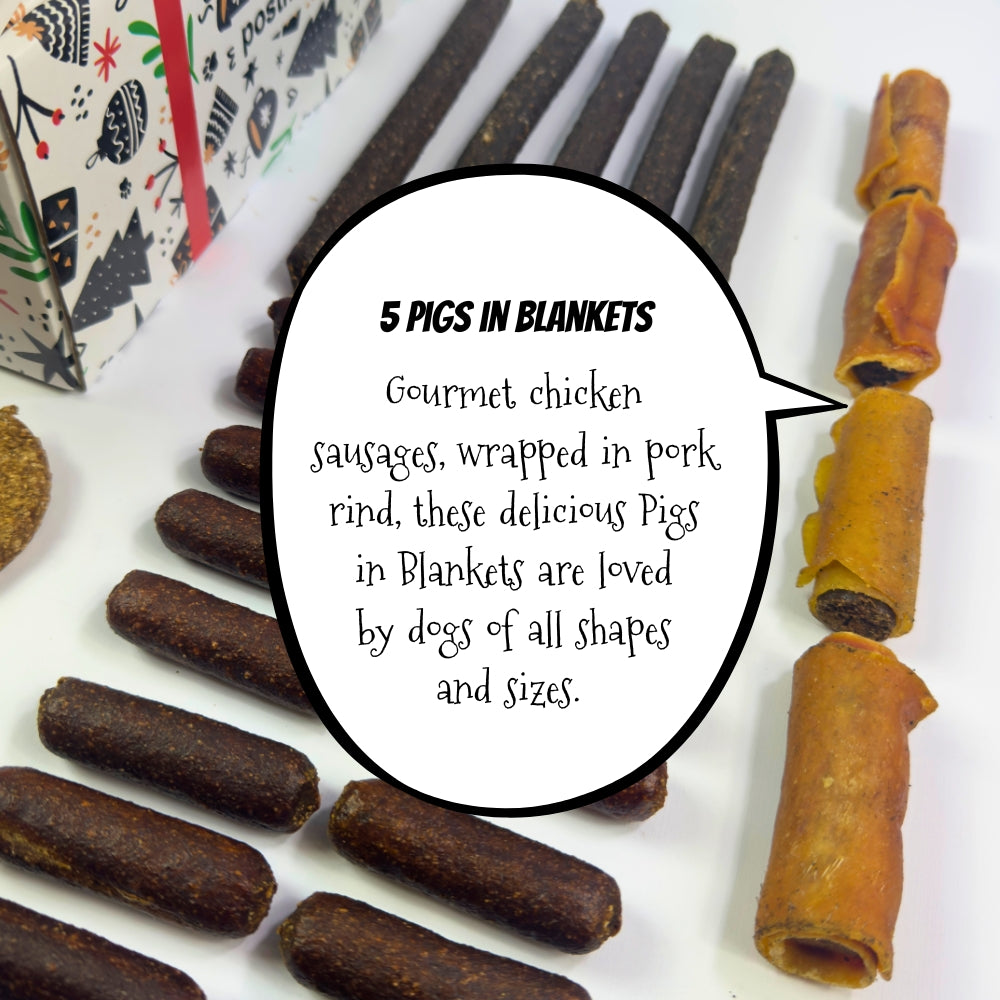 50 Piece Festive Natural Dog Treat Bundle