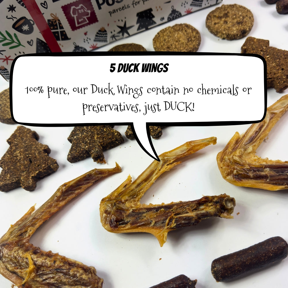 50 Piece Festive Natural Dog Treat Bundle