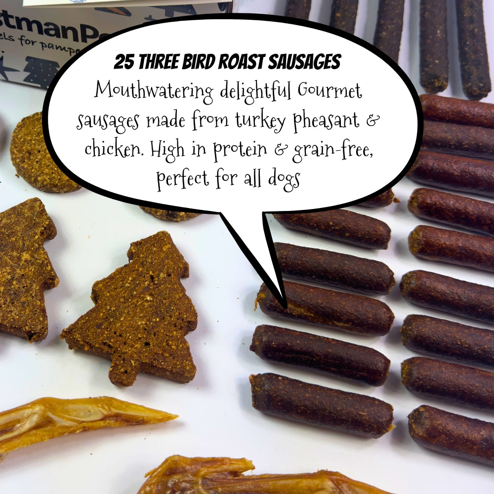 50 Piece Festive Natural Dog Treat Bundle