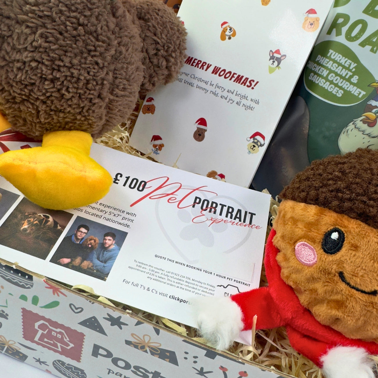 Dog christmas catd and pet portrait voucher