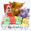 Valentine's Dog Gift Box