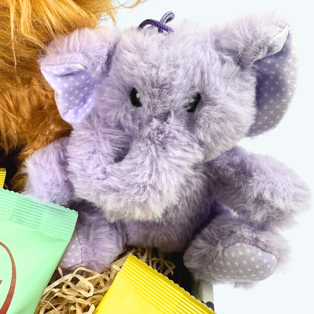 Valentine's Dog Gift Box