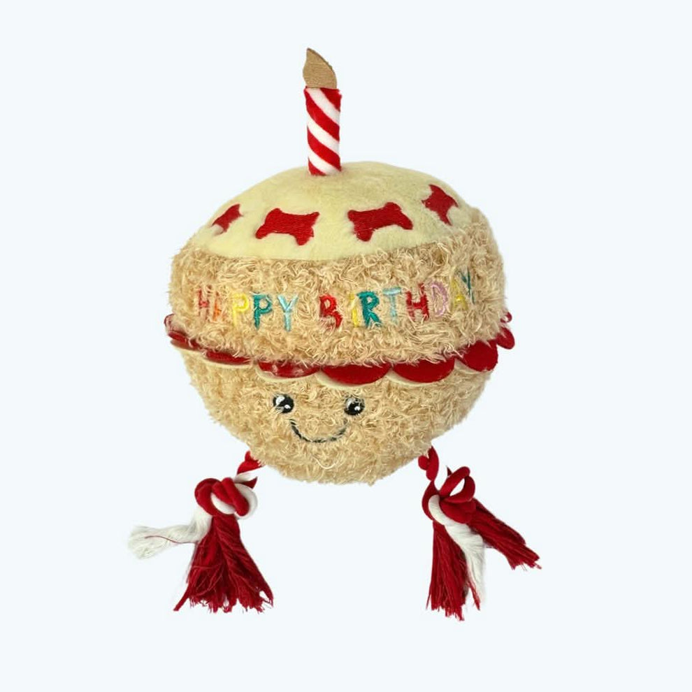 Birthday Cake Rope Dog Toy | Durable Tug Toy