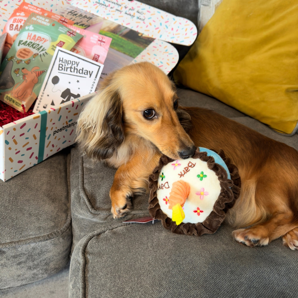 Happy Bark Day Birthday Cake Toy