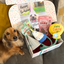 Dog Birthday Celebration Box