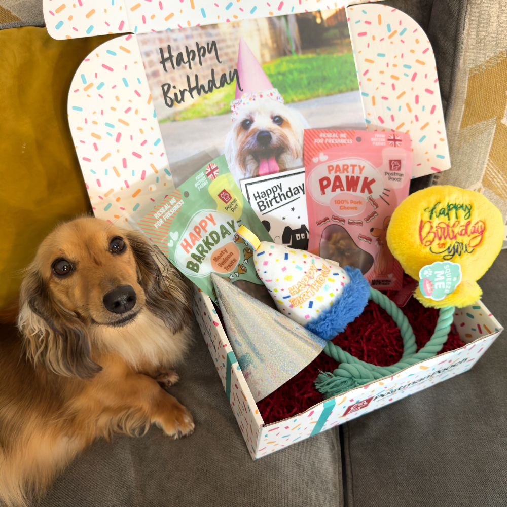 Dog Birthday Celebration Box