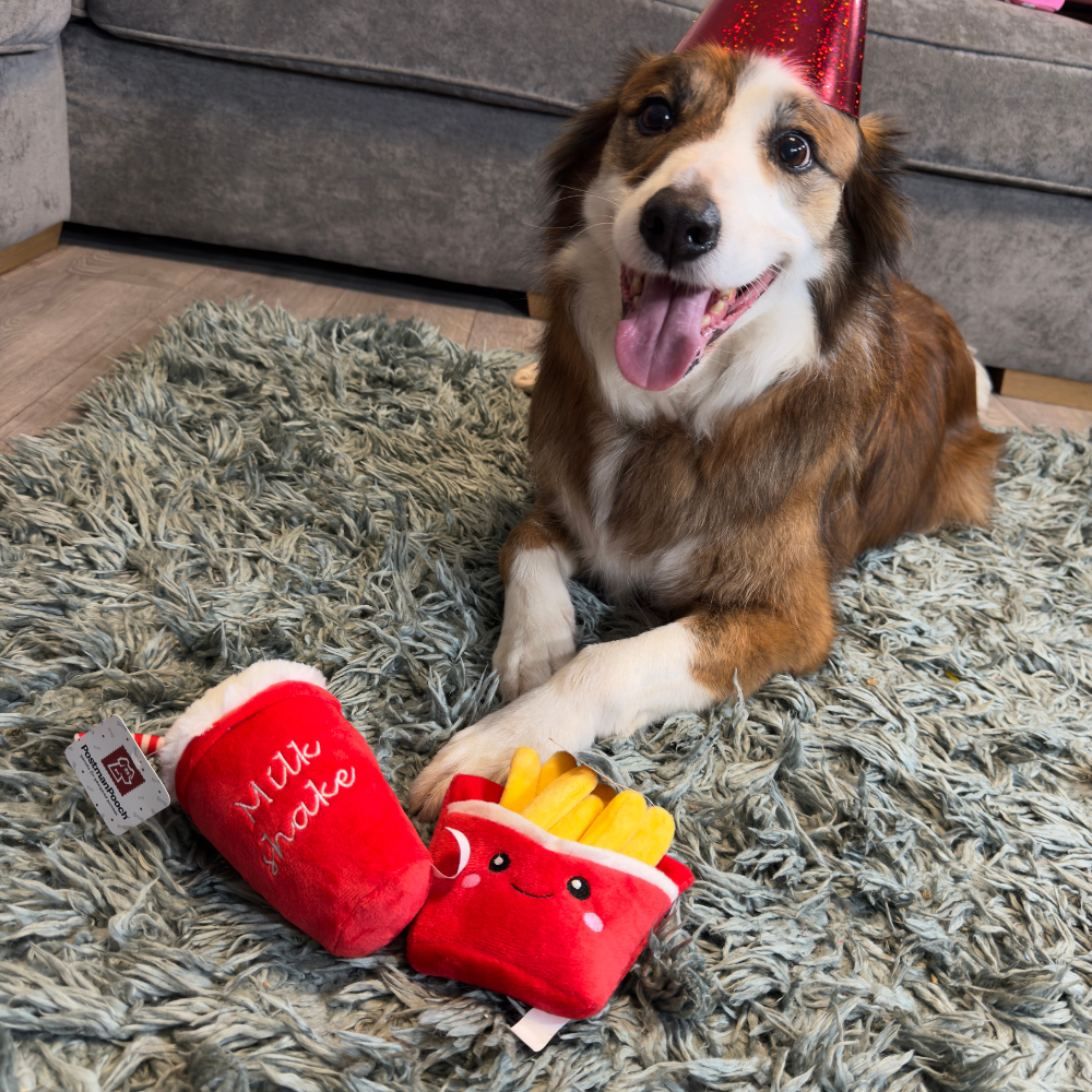 Fast Food Feast Dog Birthday Box