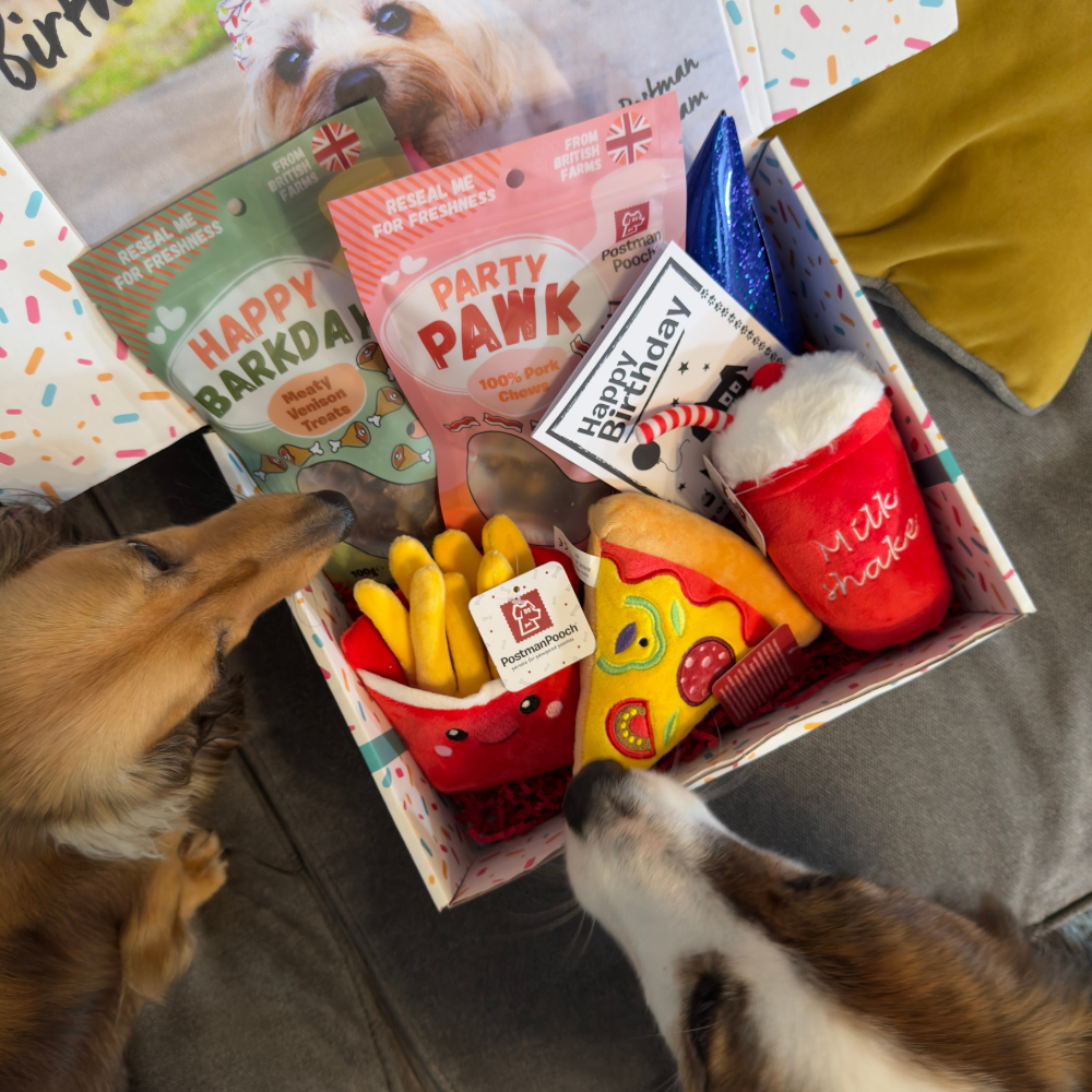 Fast Food Feast Dog Birthday Box