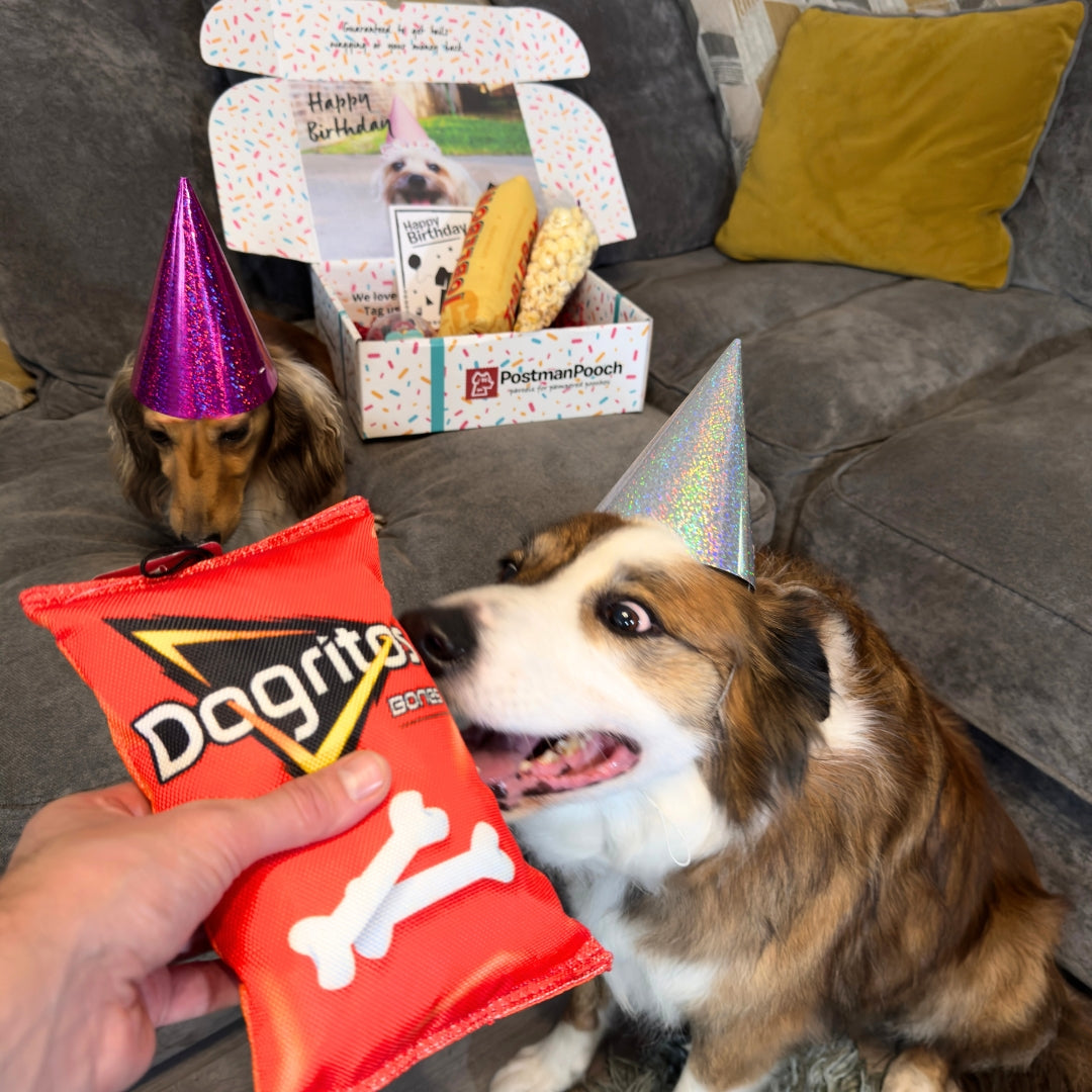 Movie Night Dog Birthday Box