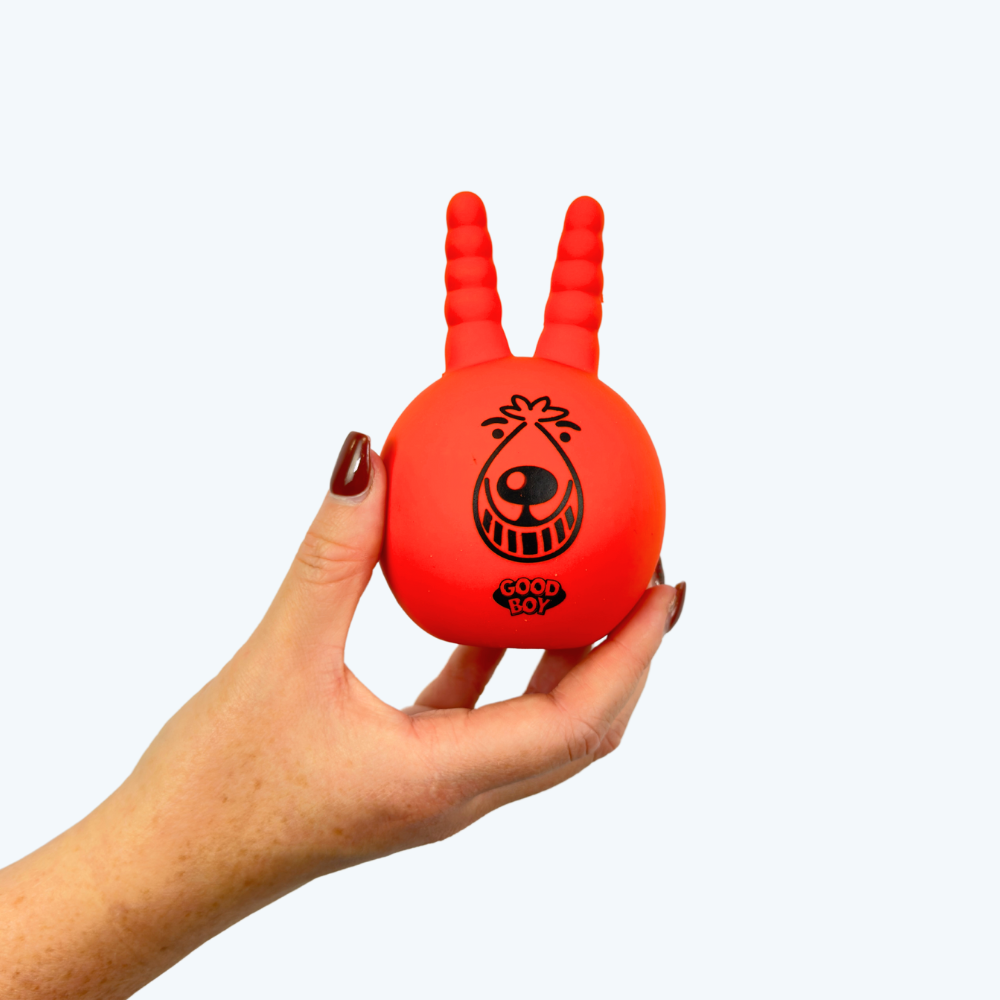 Space Lobber Squeaky Dog Toy