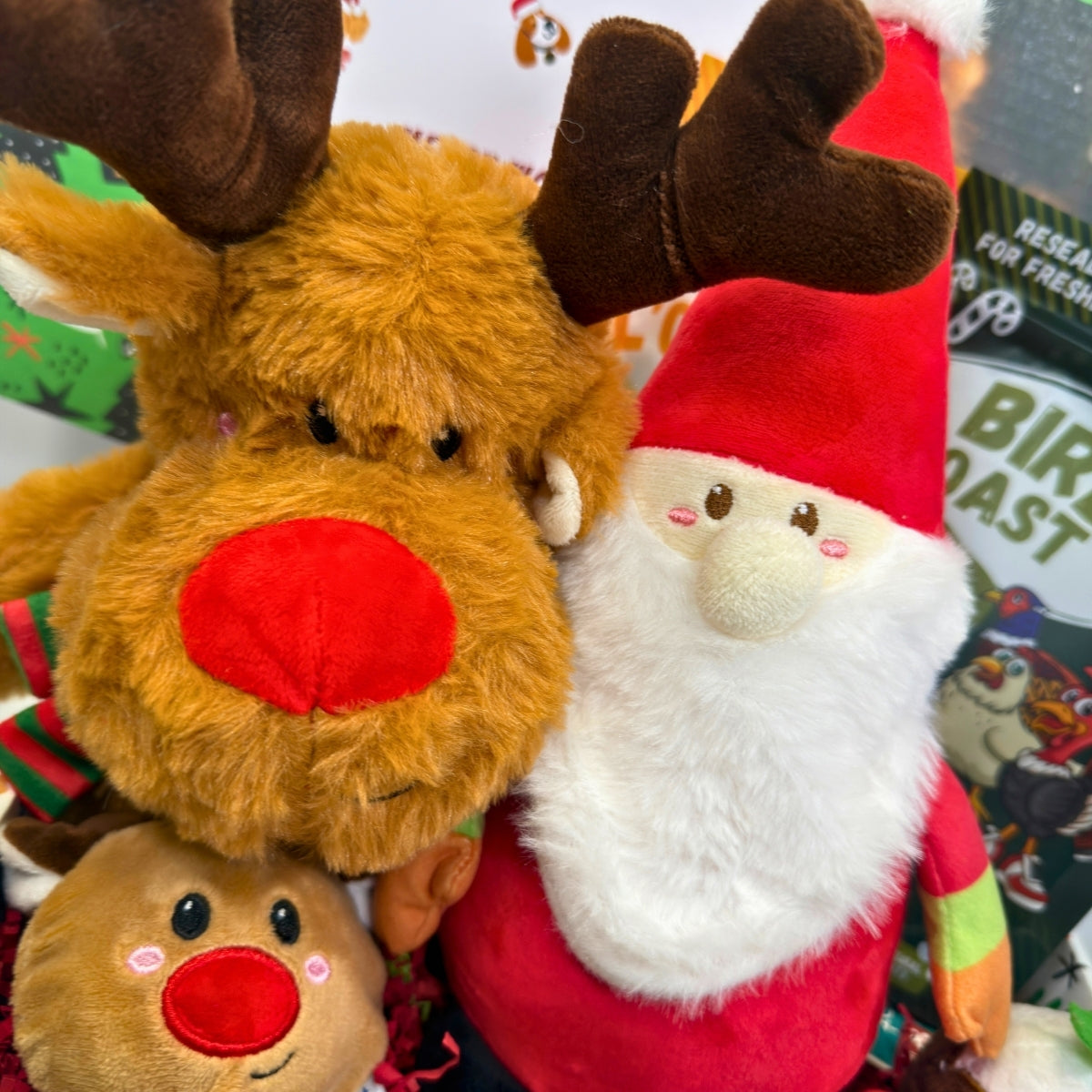 Rudolphs Top Toys Dog Christmas Gift Box
