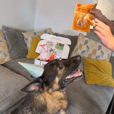 Dog Birthday Box (Girls)