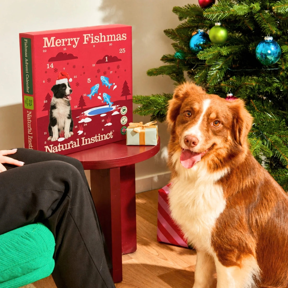 Fishmas Dog Advent Calendar
