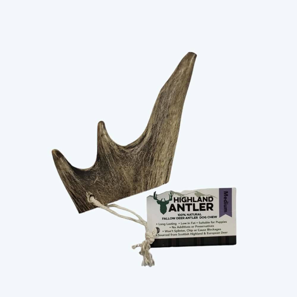 Antler Dog Chew