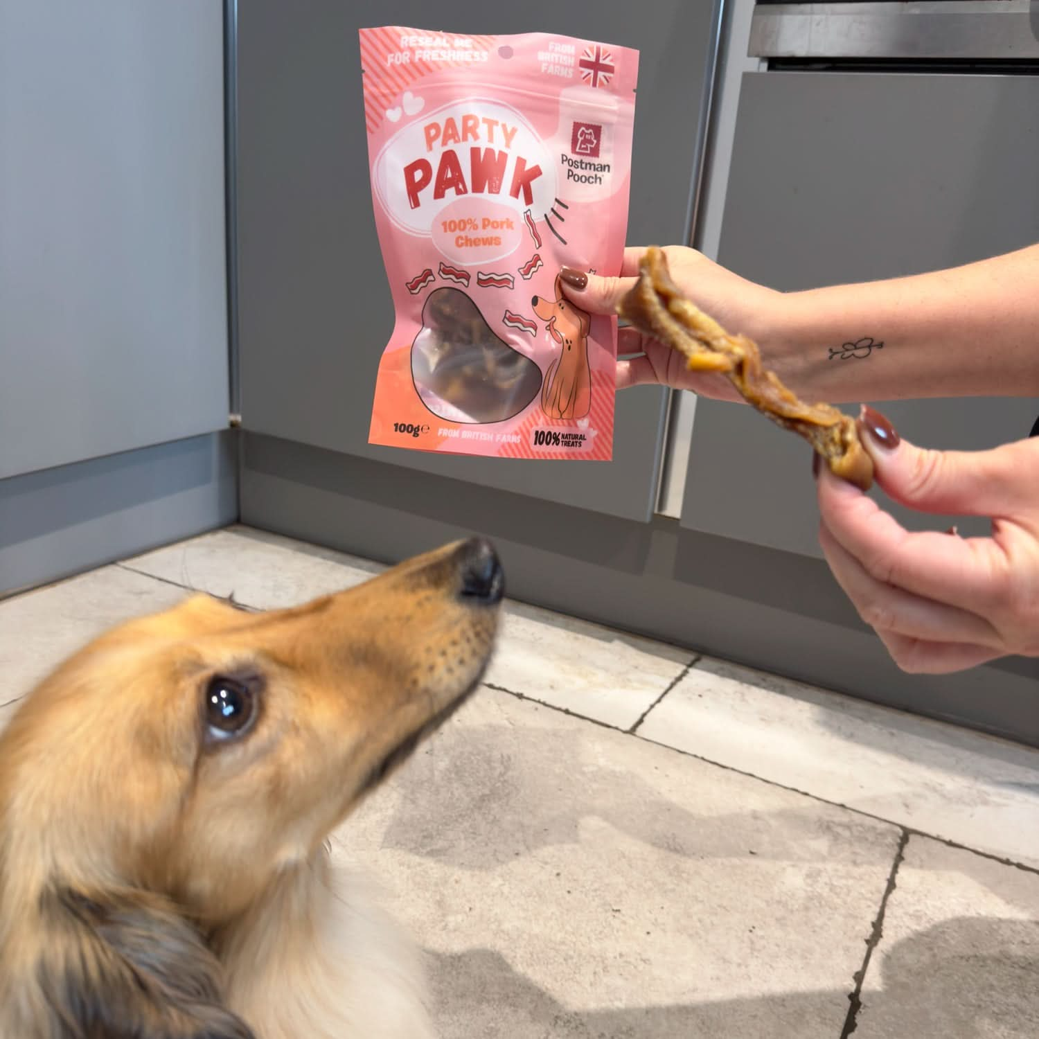 Party Pawk – 100% Pork Treats