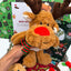 Rudolph themed dog toy