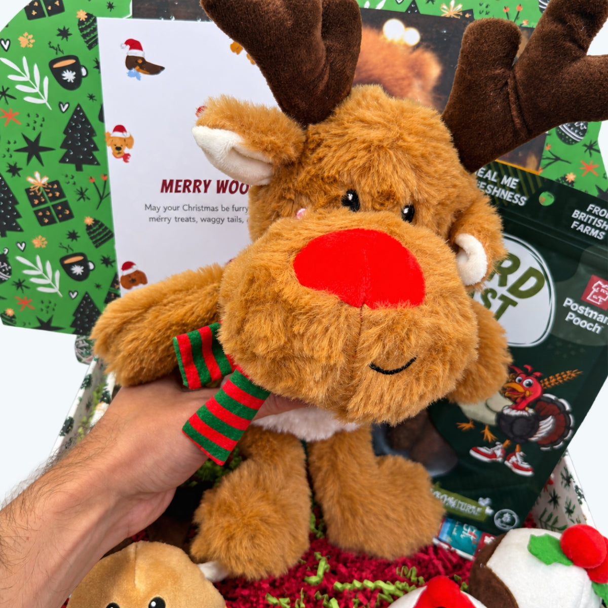 Rudolph themed dog toy
