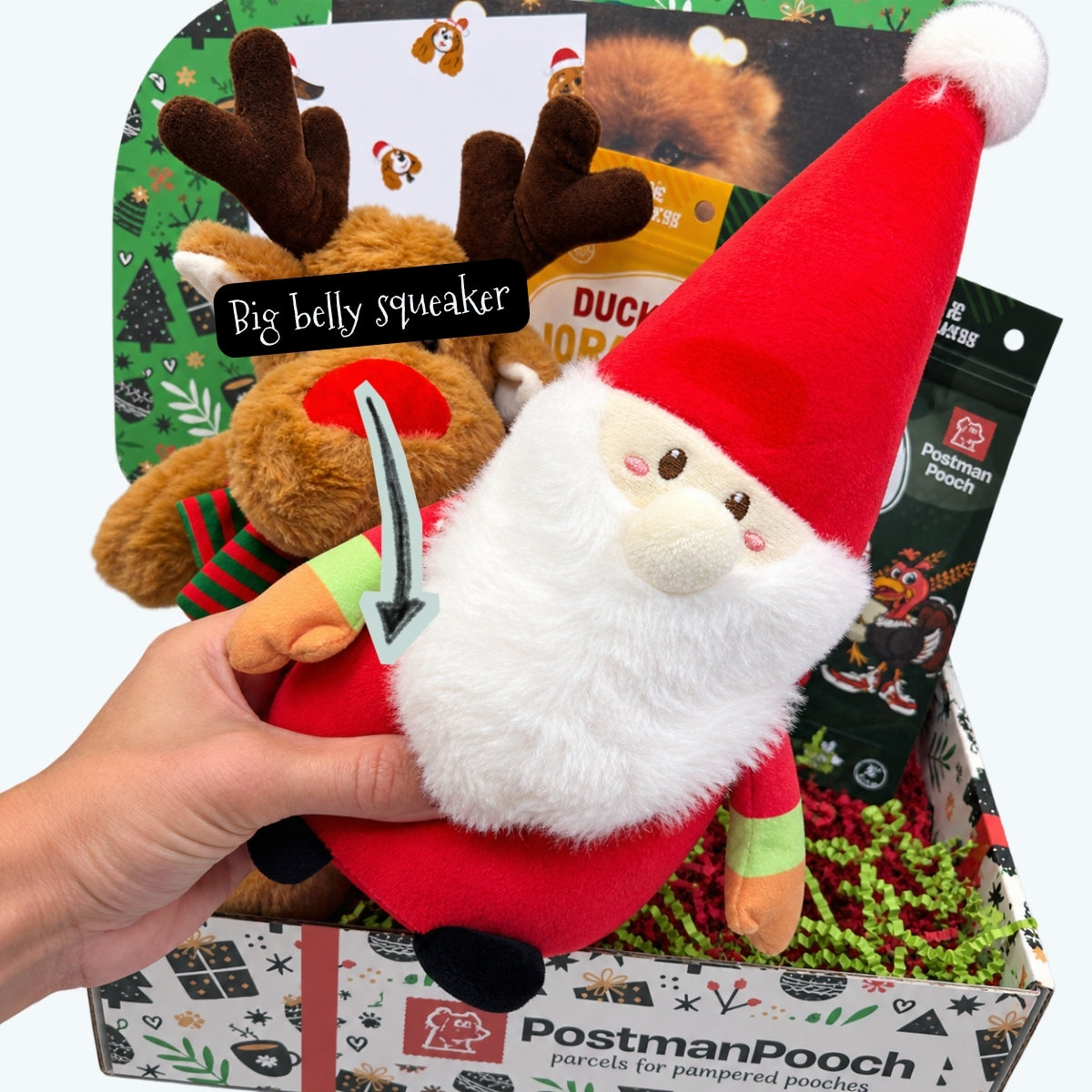 Santa christmas dog toy