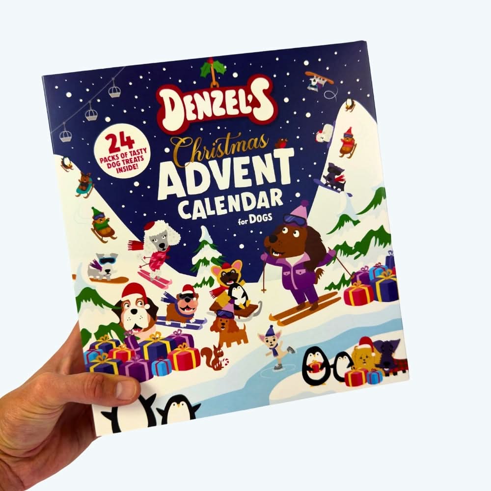 Christmas Advent Calendar for Dogs