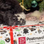Dog Christmas Gift Box Customer