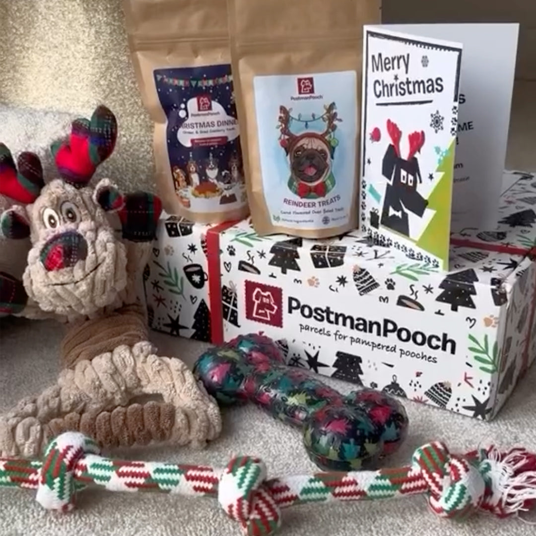 Dog Christmas Gift Box Customer