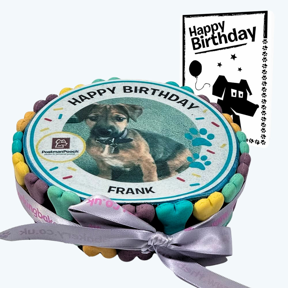 Personalised Dog Picture Birthday Cake & Card