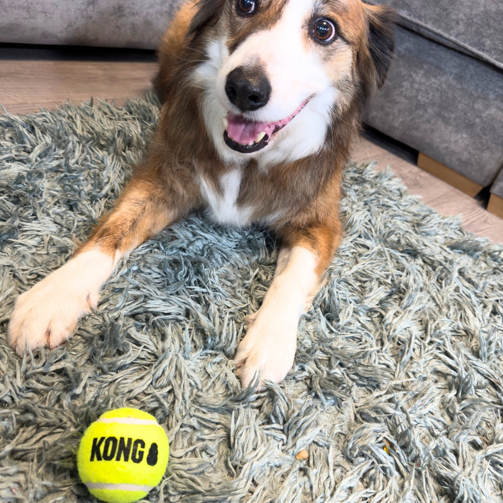 Kong Squeakair ball