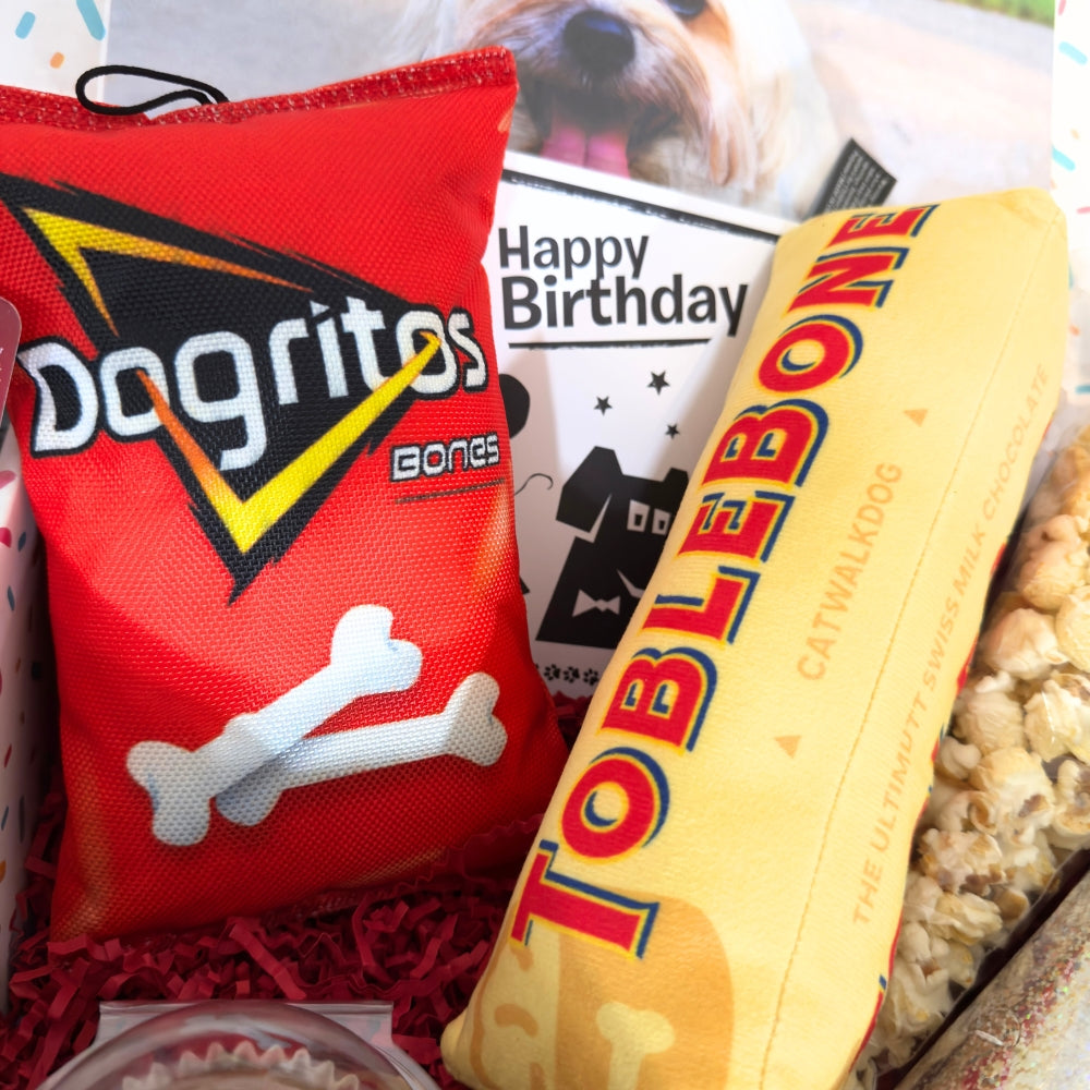 Movie Night Dog Birthday Box