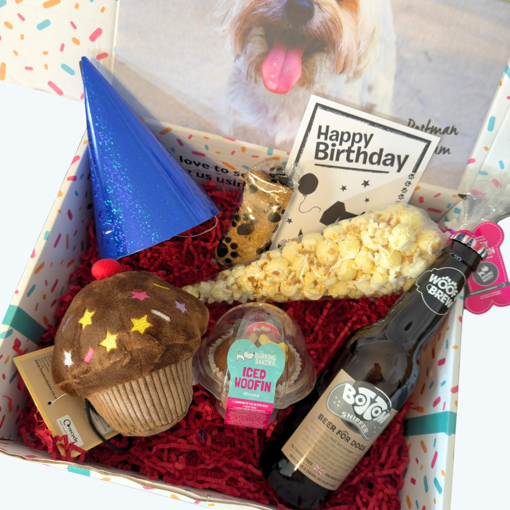 The Classic Boys Dog Birthday Box