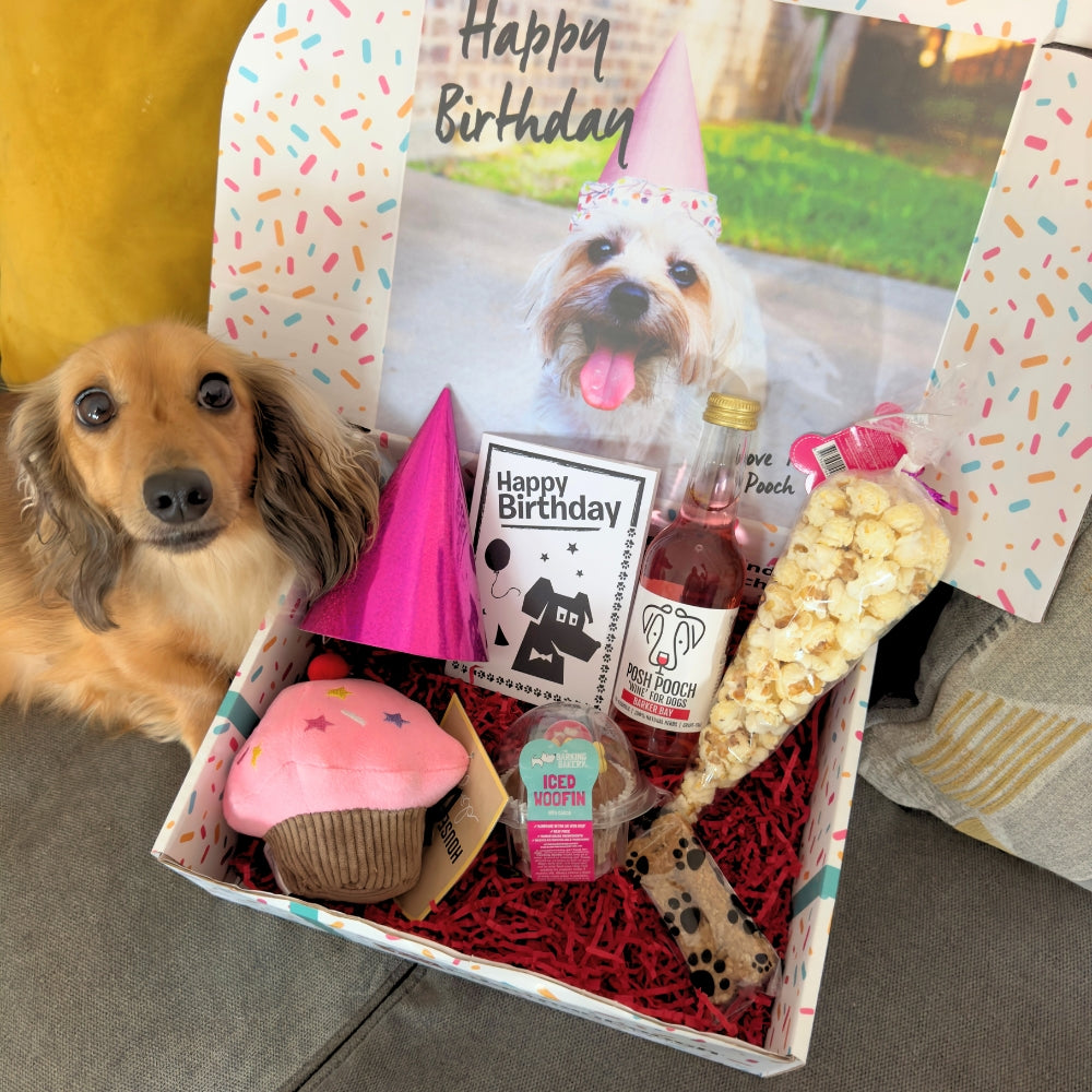 The Classic Girls Dog Birthday Box