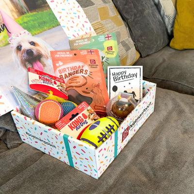 Kong Dog Toy Birthday Box