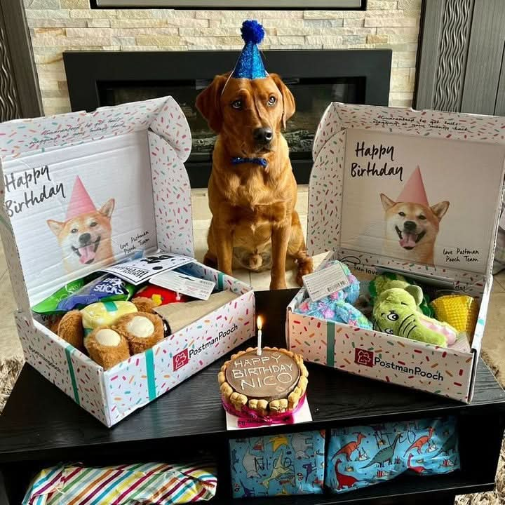 Dog Birthday Cake