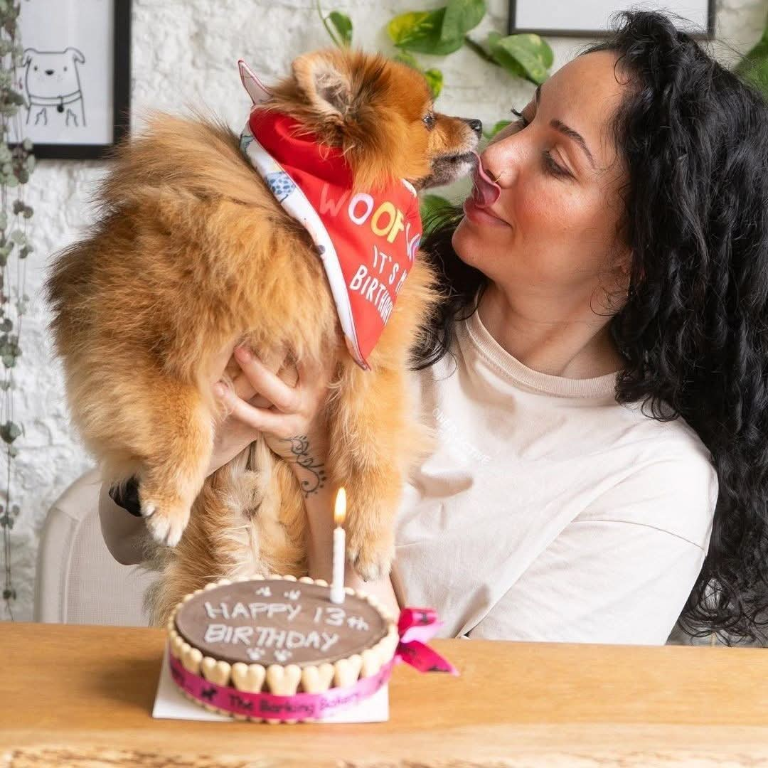 Dog Birthday Cake Carob