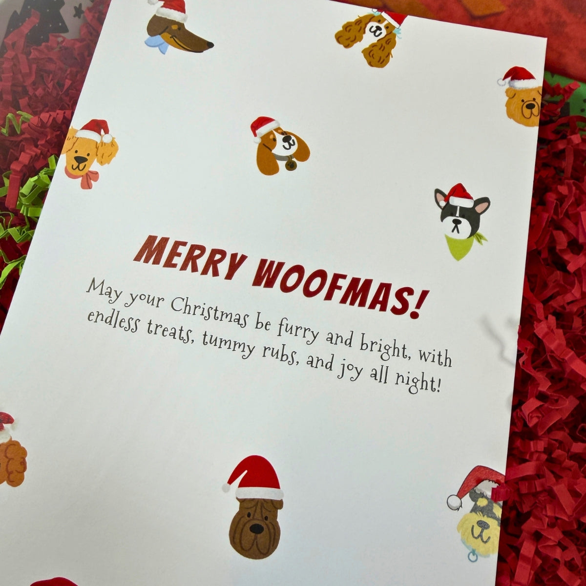 Dog Christmas Card