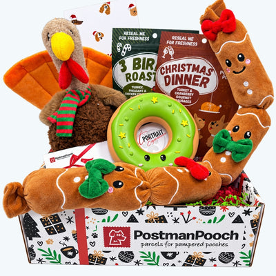 Festive Food Christmas Dog Gift Box
